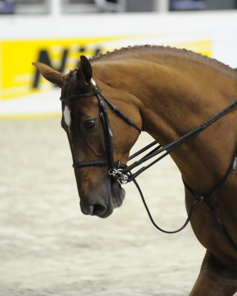 WIHS-10-23-09-DSC_8215-ChristyDestefano-Sponsors-Nikon-DDeRosaPhoto.jpg