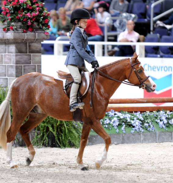 WIHS-10-24-09-DER_7862-RoshelsBitOBlue-BrittanyTarman-Sponsors-Chevron-DDeRosaPhoto.jpg