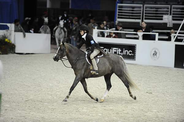 WIHS-10-25-09-DSC_1700-RicoSuave-AlleeceJarman-Sponsors-EquiFit-DDeRosaPhoto.jpg