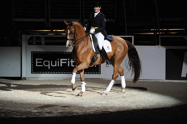 WIHS-19-23-09-DER_7427-AshleyHolzer-PopArt-Sponsors-EquiFit-DDeRosaPhoto.jpg