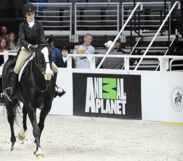 WIHS-10-20-09-DSC_0630-Sponsors-AnimalPlanet-DDeRosaPhoto.jpg