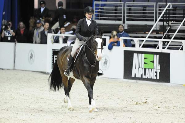 WIHS-10-20-09-DSC_1136-Peppercorn-MaryTyree-Sponsors-AnimalPlanet-DDeRosaPhoto.jpg