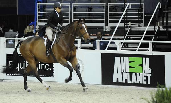 WIHS-10-21-09-DSC_2749-Overseas-LauraWasserman-AnimalPlanet-DDeRosaPhoto.jpg