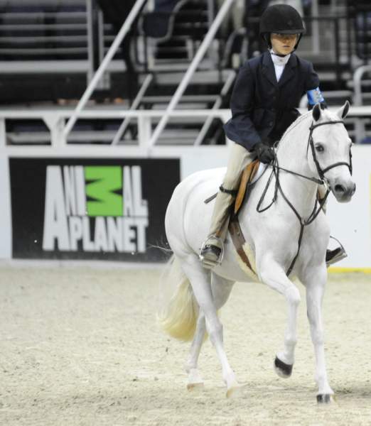 WIHS-10-24-09-DER_7838-Elation-MeredithDarst-Sponsors-AnimalPlanet-DDeRosaPhoto.jpg