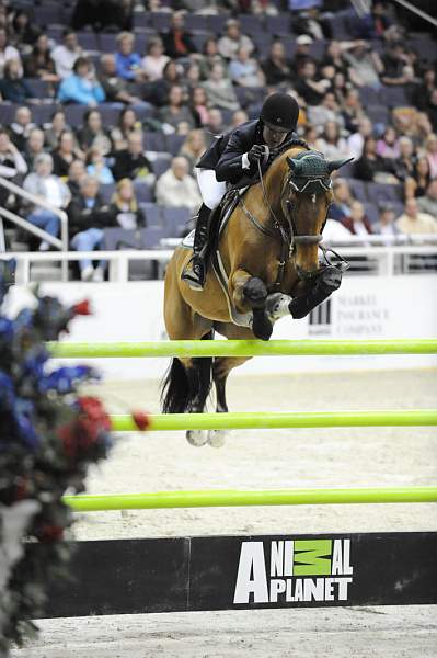 WIHS-10-24-09-DSC_1026-Capitano-DanielleTorano-Sponsors-AnimalPlanet-DDeRosaPhoto.jpg