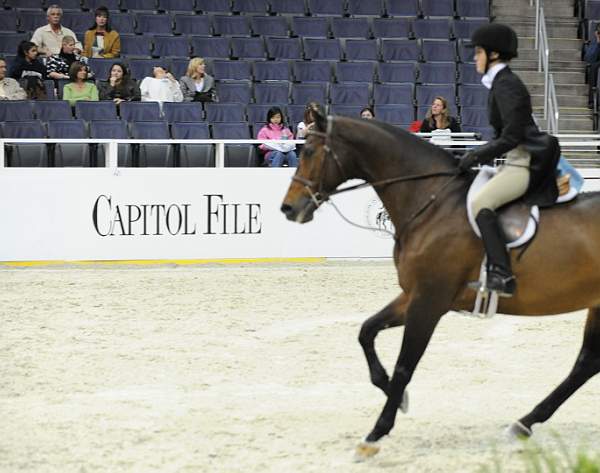 WIHS-10-20-09-DSC_0782-FrontRow-TaylorSchmidt-DDeRosaPhoto.jpg