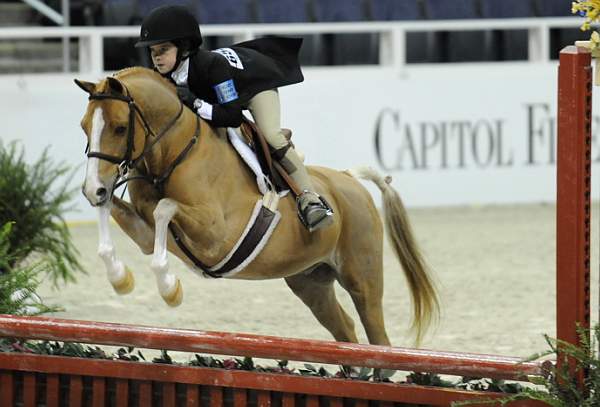 WIHS-10-25-09-DSC_1640-Sponsors-CapitolFile-DDeRosaPhoto.jpg