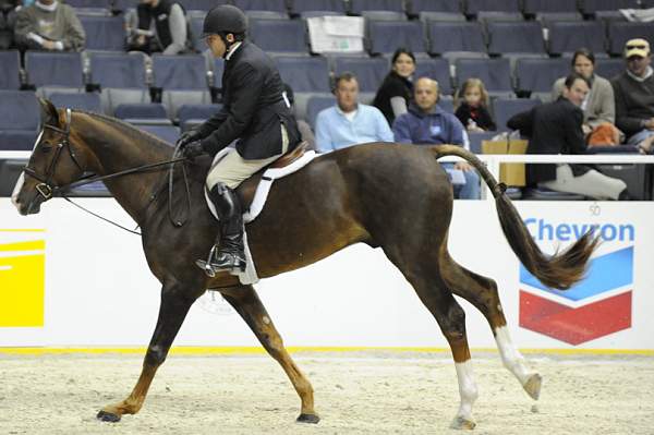 WIHS-10-20-09-DSC_0441-Andiamo-BradWolf-Sponsors-Chevron-DDeRosaPhoto.jpg