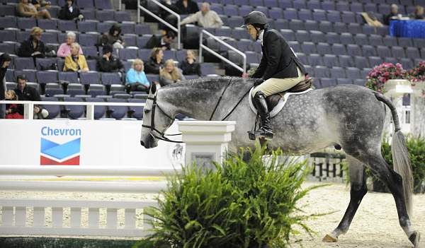 WIHS-10-20-09-DSC_9578-Carlano-LouiseSerio-Sponsors-Chevron-DDeRosaPhoto.jpg