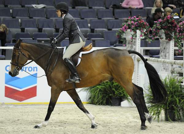 WIHS-10-20-09-DSC_9973-NorthCountry-PatriciaGriffith-Sponsors-Chevron-DDeRosaPhoto.jpg