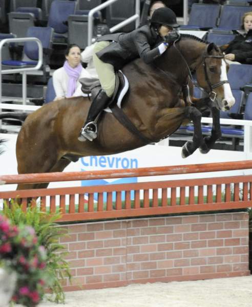 WIHS-10-21-09-DSC_1335-Tasty-TerryBrown-Sponsors-Chevron-DDeRosaPhoto.jpg