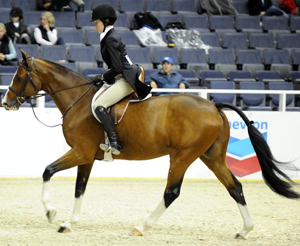 WIHS-10-23-09-DSC_7396-Safari-CaitlinZiegler-Sponsors-Chevron-DDeRosaPhoto.jpg