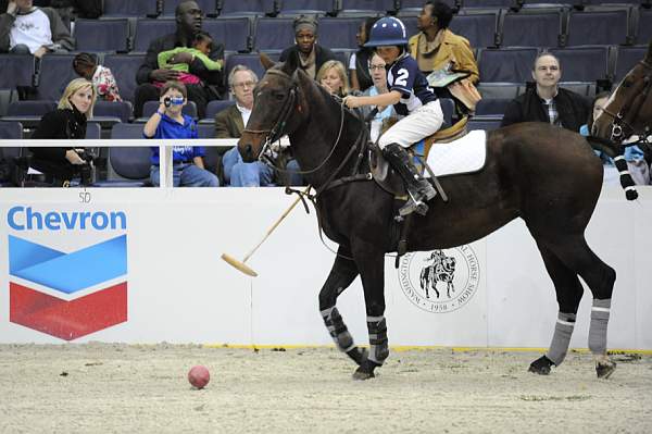 WIHS-10-25-09-DSC_3159-WOH-MiddleburgPoloClub-Sponsors-Chevron-DDeRosaPhoto.jpg