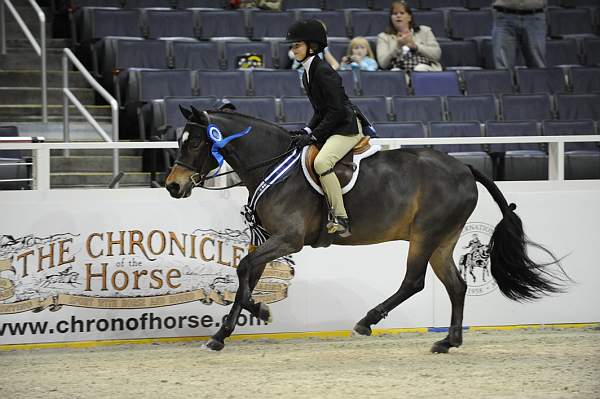 WIHS-10-24-10-Cl185WIHSPnyEqFinals-DER_8356-Tango-MadelynKeck-AllTheBest-VictoriaColvin-Sponsors-Chronicle-DDeRosaPhoto.jpg