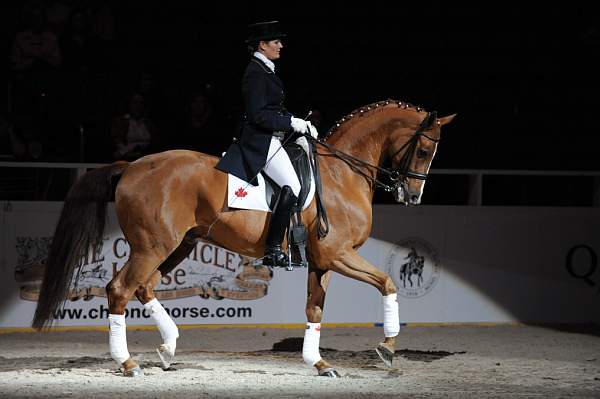 WIHS-10-25-09-DSC_3794-AshleyHolzer-PopArt-Dressage-Sponsors-Chronicle-DDeRosaPhoto.jpg