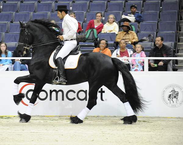 WIHS-10-25-09-DSC_3067-WOH-WishUponASter-Sponsors-Comcast-DDeRosaPhoto.jpg