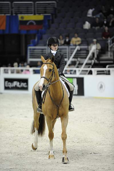 WIHS-10-20-09-DSC_0640-FinallyMine-MorganHandwerker-Sponsors-EquFit-DDeRosaPhoto.jpg