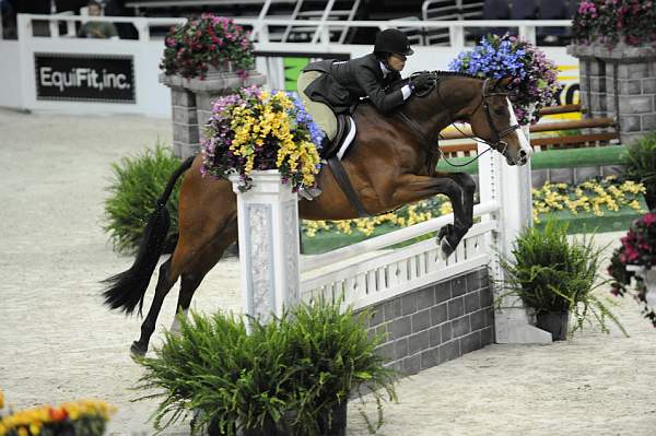 WIHS-10-21-09-DSC_1339-Tasty-TerryBrown-DDeRosaPhoto.jpg