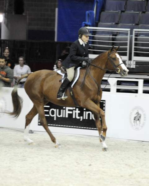 WIHS-10-21-09-DSC_2739-FineKiss-BettyOare-Sponsors-EquiFit-DDeRosaPhoto.jpg