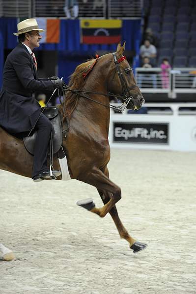 WIHS-10-25-09-DSC_3483-WOH-BillShiflet-Sponsors-EquFit-DDeRosaPhoto.jpg