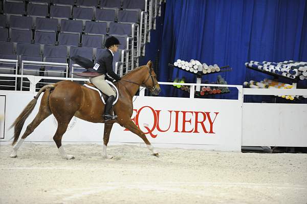 WIHS-10-20-09-DSC_1040-Vermilion-AinsleySadlo-Sponsors-Equiery-DDeRosaPhoto.jpg