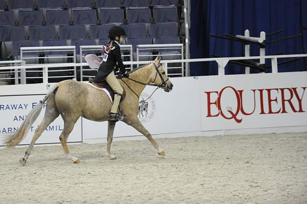 WIHS-10-24-10-Cl250HtrDrby-DER_8396-Jerseyboy-JenniferAlfano-Sponsors-Equiery-DDeRosaPhoto.jpg