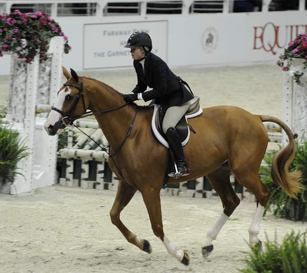 WIHS-10-21-09-DSC_2379-Confidential-ErinStewart-Sponsors-FarawayFarm-DDeRosaPhoto.jpg
