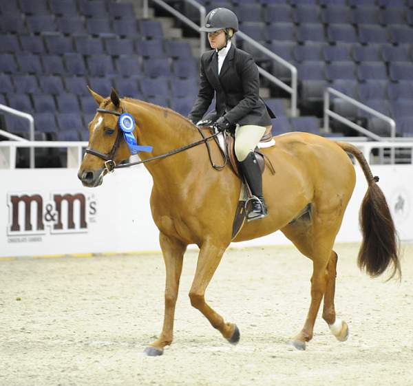 WIHS-10-23-09-DSC_8461-LgJrHtrUS-16-17-CRFranzMarc-CatherineTracy-Sponsors-M-M-DDeRosaPhoto.jpg