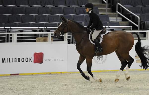 WIHS-10-21-09-DSC_2297-Maestro-AmandaGoldman-Sponsors-Millbrook-DDeRosaPhoto.jpg