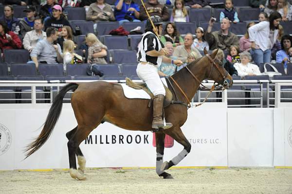 WIHS-10-25-09-DSC_3088-WOH-MiddleburgPoloClub-Sponsors-Millbrook-DDeRosaPhoto.jpg