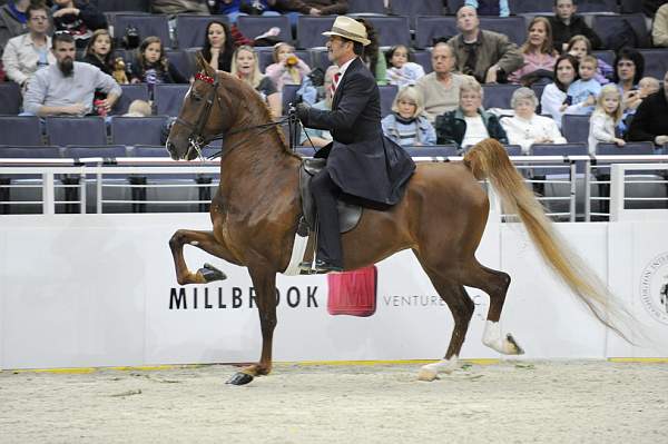 WIHS-10-25-09-DSC_3439-WOH-BillShiflet-Sponsors-Millbrook-DDeRosaPhoto.jpg