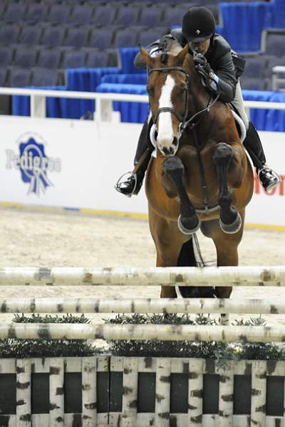 WIHS-10-20-09-DSC_9436-Tasty-TerryBrown-Sponsors-Pedigree-DDeRosaPhoto.jpg