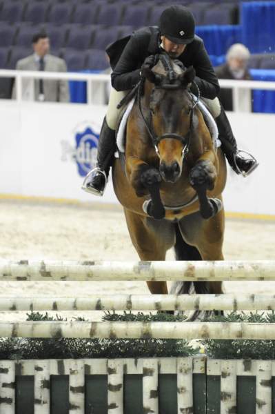 WIHS-10-20-09-DSC_9481-SouthBeach-JenniferAlfano-Sponsors-Pedigree-DDeRosaPhoto.jpg