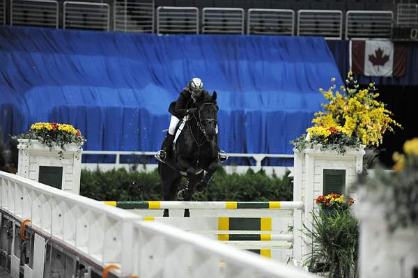 WIHS-10-21-09-AdultJprCh-DSC_3325-WillStop-VirginiaMcNeil-DDeRosaPhoto.jpg