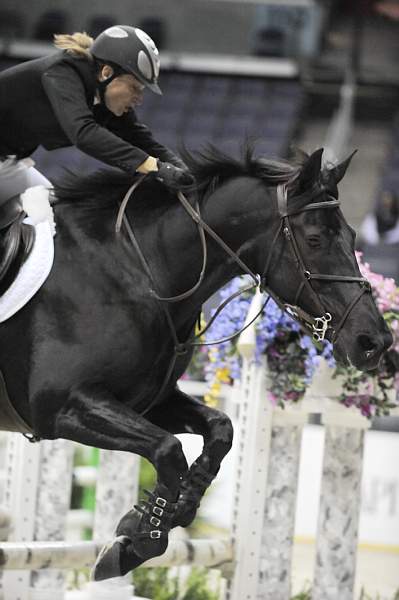 WIHS-10-21-09-AdultJprCh-DSC_3331-WillStop-VirginiaMcNeil-DDeRosaPhoto.jpg