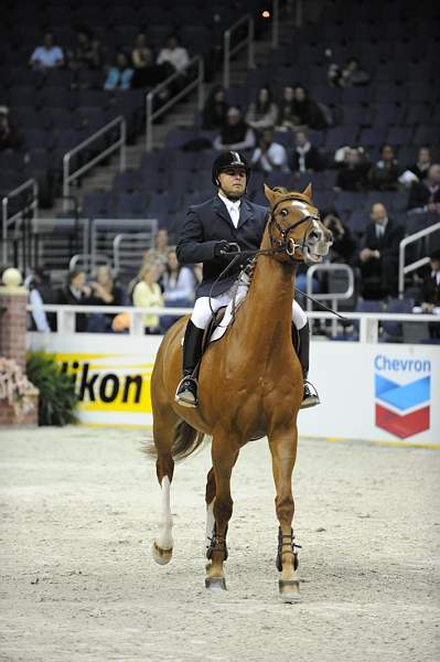 WIHS-10-21-09-AdultJprCh-DSC_3427-Arazzo3-AmirTavakoli-DDeRosaPhoto.jpg