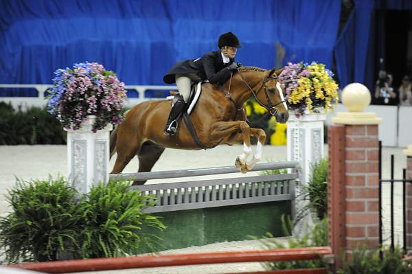 WIHS-10-20-09-DSC_1039-Vermilion-AinsleySadlo-DDeRosaPhoto.jpg