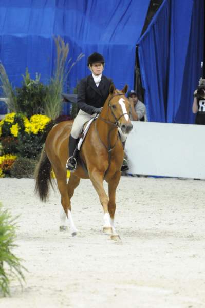 WIHS-10-20-09-DSC_1044-Vermilion-AinsleySadlo-DDeRosaPhoto.jpg