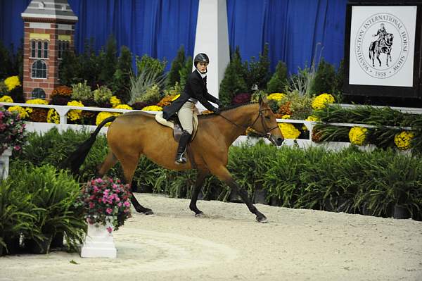 WIHS-10-20-09-DSC_1066-Pommegranate-HeatherGeller-DDeRosaPhoto.jpg