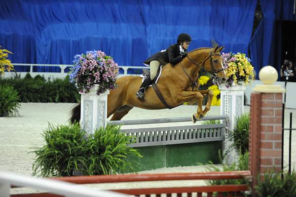 WIHS-10-20-09-DSC_1085-Chauncey-HeatherHawkins-sh-DDeRosaPhoto.jpg