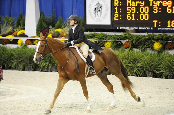 WIHS-10-20-09-DSC_1141-Luvbug-PattiSchindler-DDeRosaPhoto.jpg