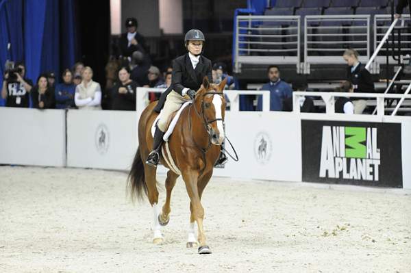 WIHS-10-20-09-DSC_1146-Luvbug-PattiSchindler-DDeRosaPhoto.jpg