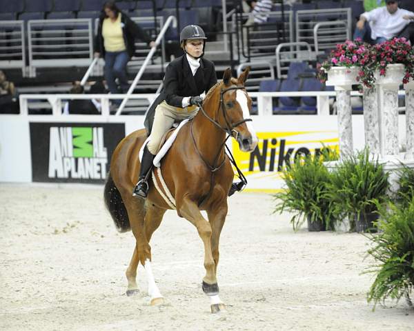 WIHS-10-20-09-DSC_1147-Luvbug-PattiSchindler-DDeRosaPhoto.jpg