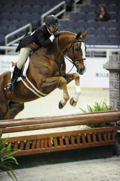 WIHS-10-20-09-DSC_1148-Luvbug-PattiSchindler-DDeRosaPhoto.jpg