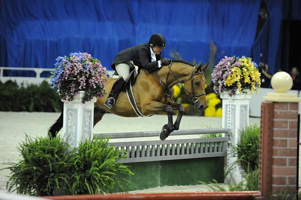 WIHS-10-20-09-DSC_1153-Saracen-LisaWilliamson-DDeRosaPhoto.jpg