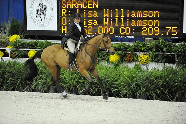 WIHS-10-20-09-DSC_1155-Saracen-LisaWilliamson-DDeRosaPhoto.jpg