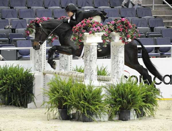 WIHS-10-20-09-DSC_1174-Juliet-KathrynDavilli-DDeRosaPhoto.jpg