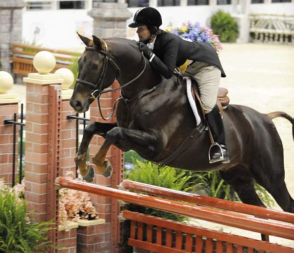 WIHS-10-20-09-DSC_1215-Indulgence-JodyRuth-DDeRosaPhoto.jpg