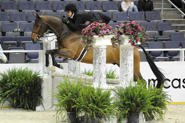 WIHS-10-20-09-DSC_1218-Caspian-CourtenayCohen-DDeRosaPhoto.jpg