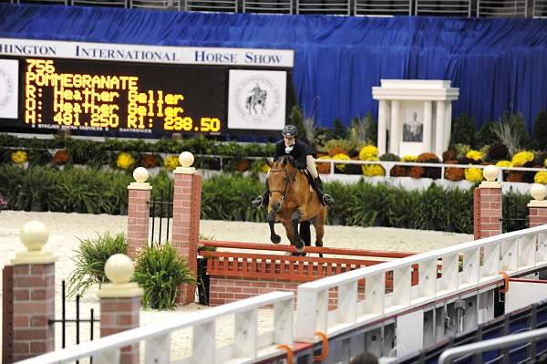 WIHS-10-20-09-DSC_1252-Pommegranate-HeatherGeller-DDeRosaPhoto.jpg